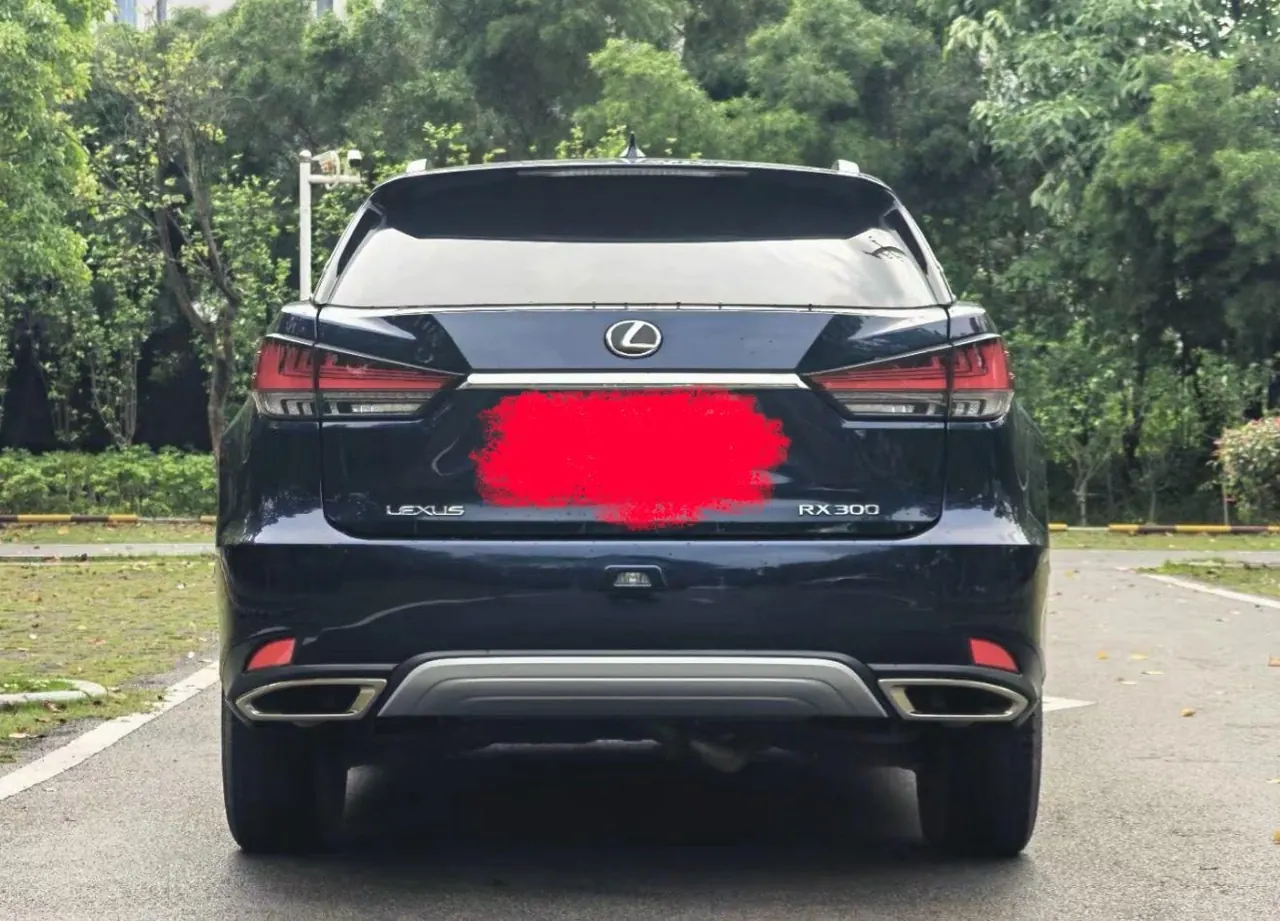 Lexus RX (Imported) 2020 RX300 2.0T Four-wheel Drive Elegant Edition (Modified) Automatic Gear 2