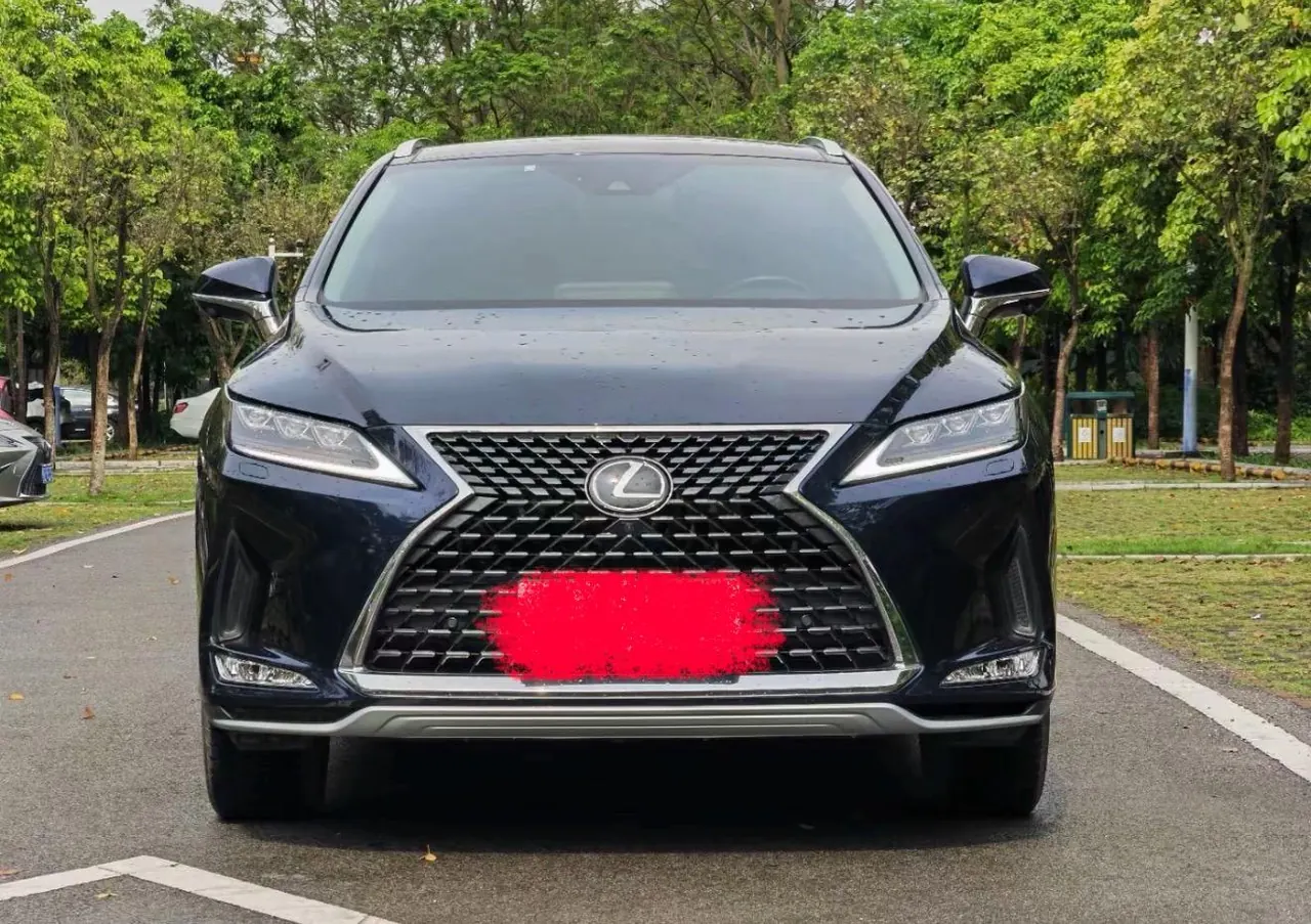 Lexus RX (Imported) 2020 RX300 2.0T Four-wheel Drive Elegant Edition (Modified) Automatic Gear 5
