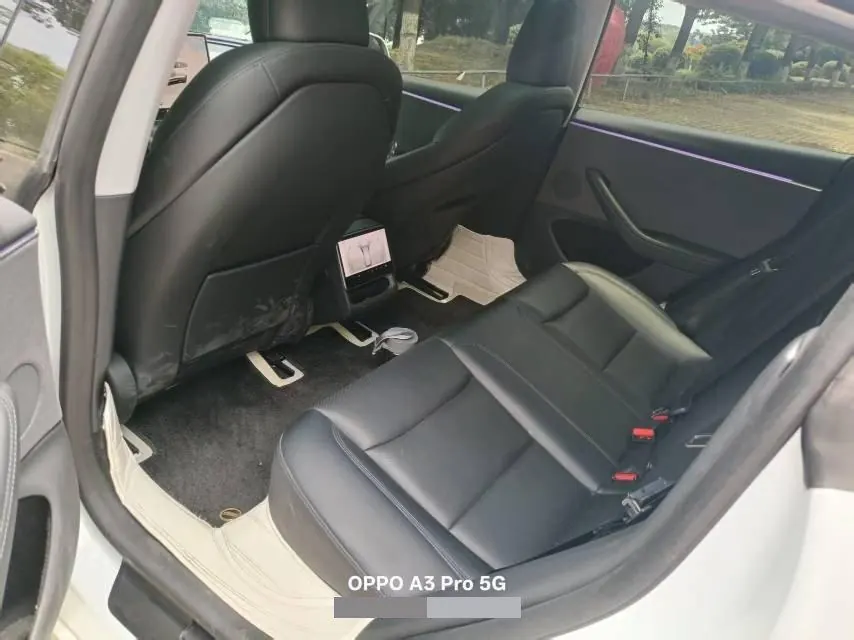 Tesla 2023 Model 3 Rejuvenation Edition Rear Wheel Drive Automatic Transmission 6