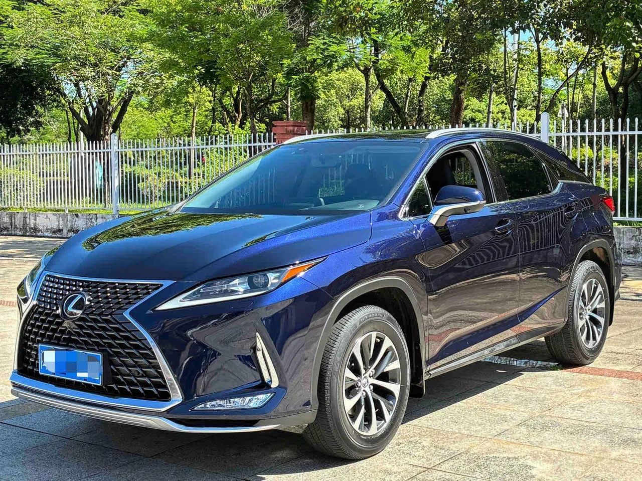 Lexus RX (Imported) 2020 RX300 2.0T Two-Drive Elite Edition (Revised) Automatic Gear - View 1