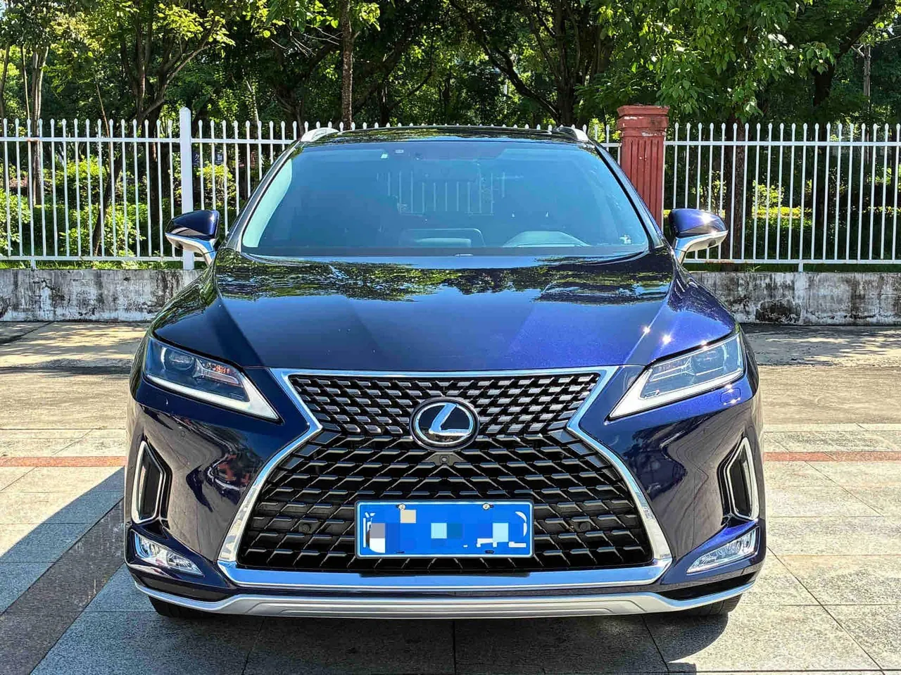 Lexus RX (Imported) 2020 RX300 2.0T Two-Drive Elite Edition (Revised) Automatic Gear 2