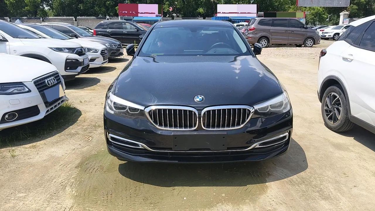 BMW 5 Series 2020 530Li 2.0T Leading Luxury Suit Automatic Gear 2
