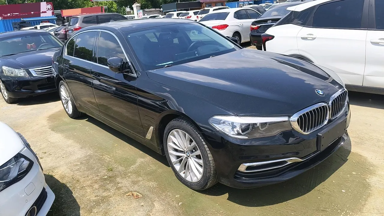BMW 5 Series 2020 530Li 2.0T Leading Luxury Suit Automatic Gear 3