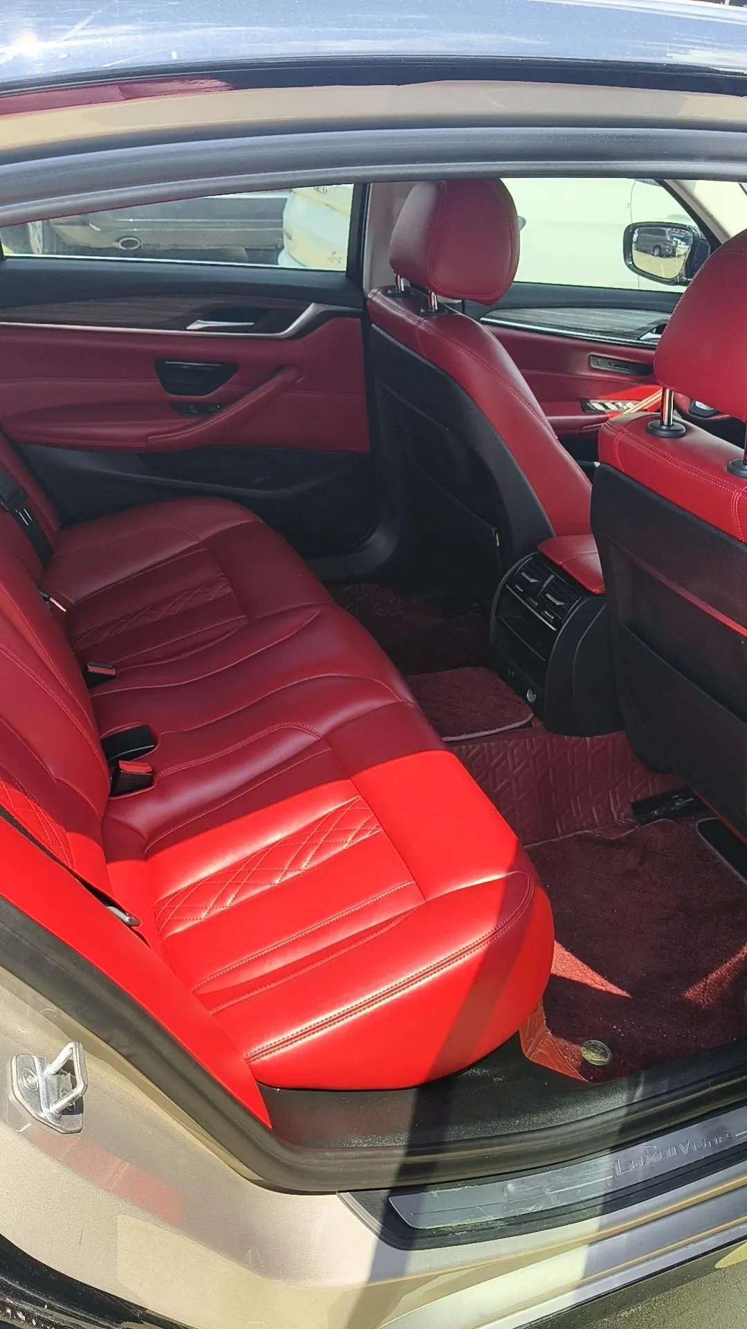 BMW 5 Series 2020 530Li 2.0T Leading Luxury Suit Automatic Gear 5