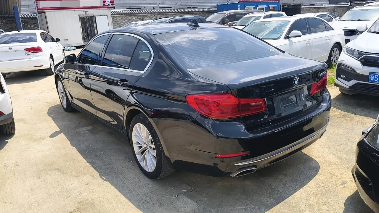 BMW 5 Series 2020 530Li 2.0T Leading Luxury Suit Automatic Gear 7