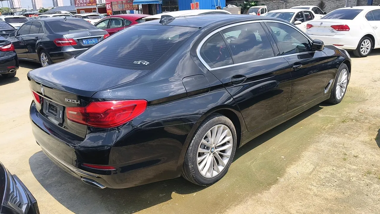 BMW 5 Series 2020 530Li 2.0T Leading Luxury Suit Automatic Gear 8