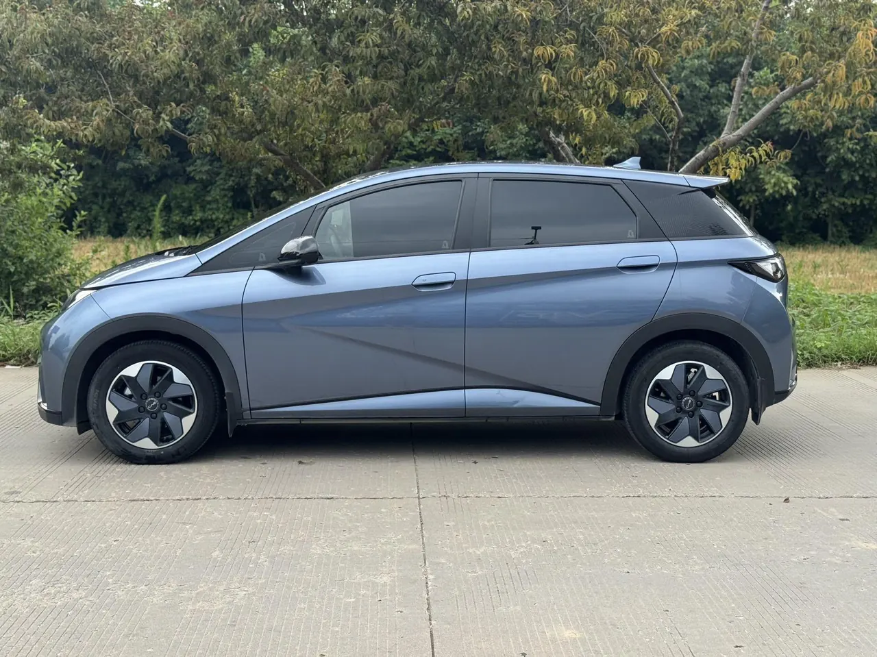 BYD 2024 Dolphin Glory 420km Free Automatic 7
