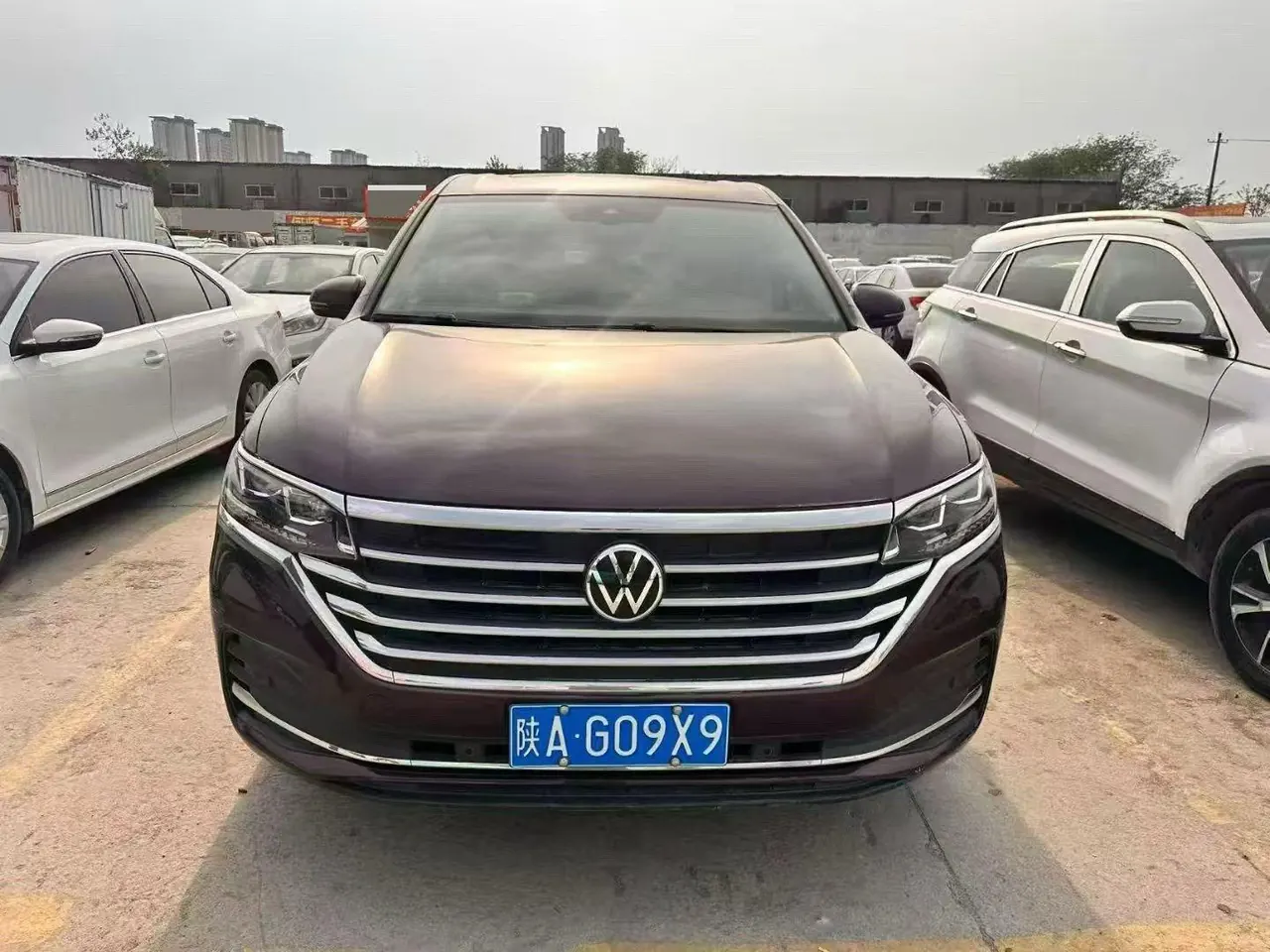 Volkswagen 2022 Wei (Viloran) 2.0TSI 380TSI Zunchi Edition Automatic Gear 6