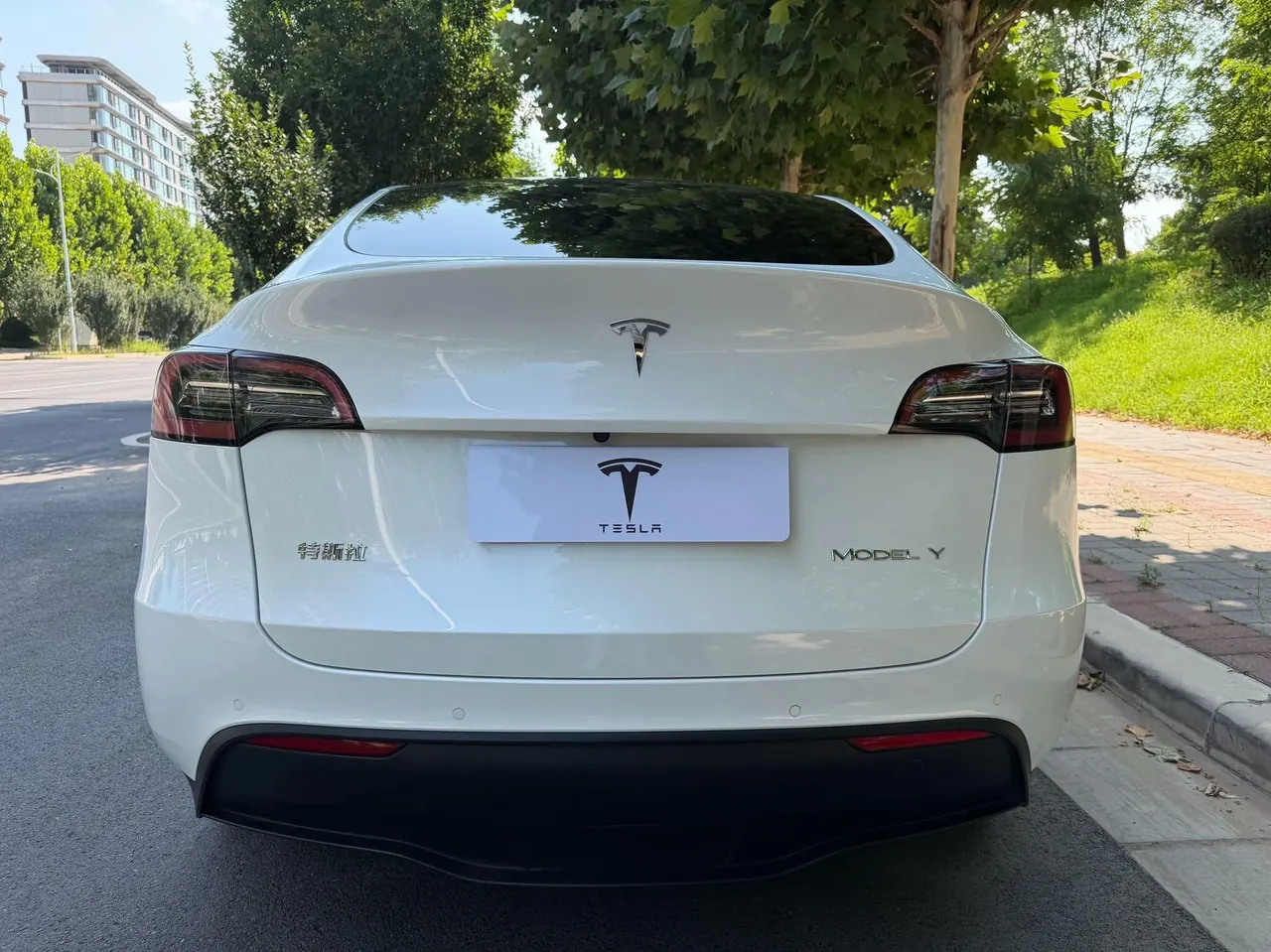 Tesla 2022 Model Y rear-wheel drive version (facelift) automatic gear 12
