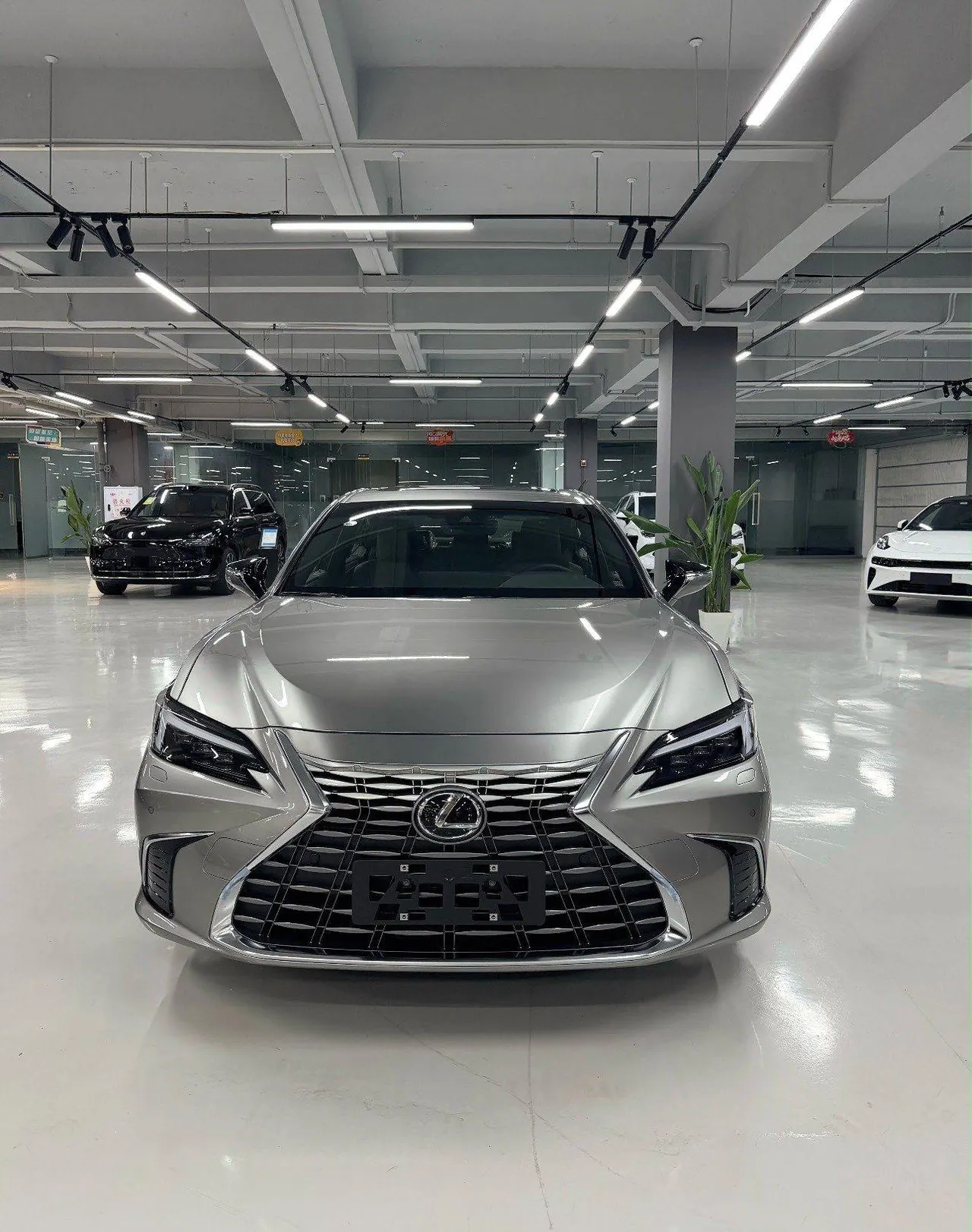Lexus ES (Imported) 2025 ES200 2.0 Stepless Edition Automatic Gear 3