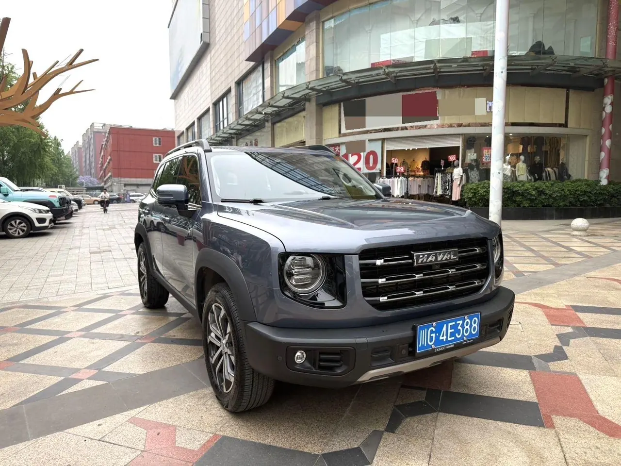 Haval 2022 big dogs 1.5T two-wheel-drive border animal husbandry version automatic gear 2