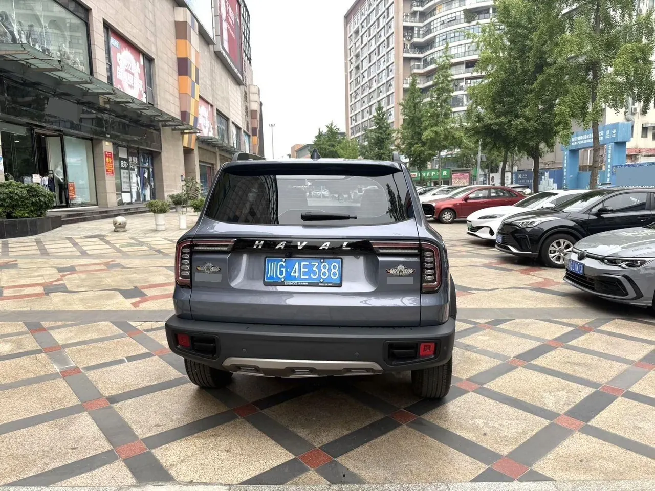 Haval 2022 big dogs 1.5T two-wheel-drive border animal husbandry version automatic gear 3