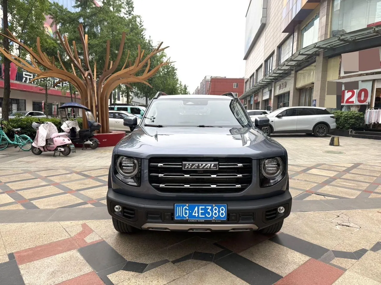 Haval 2022 big dogs 1.5T two-wheel-drive border animal husbandry version automatic gear 4