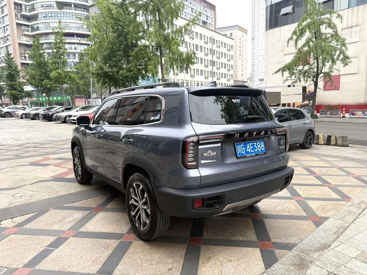 Haval 2022 big dogs 1.5T two-wheel-drive border animal husbandry version automatic gear 5