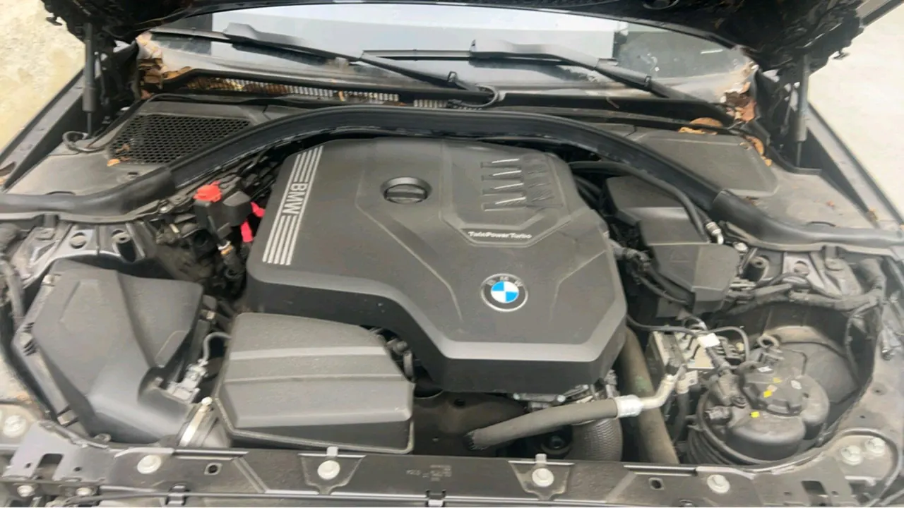 BMW 3 Series 2024 320Li 2.0T M Sports Suit Automatic Gear 11