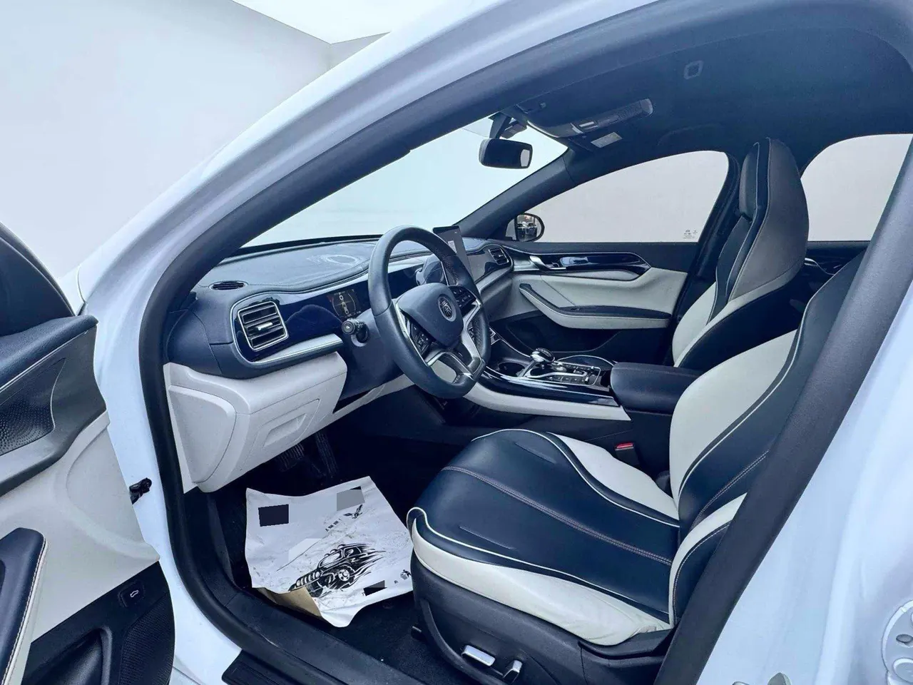 BYD 2021 Qin PLUS EV 500KM Luxury Automatic Gear 3