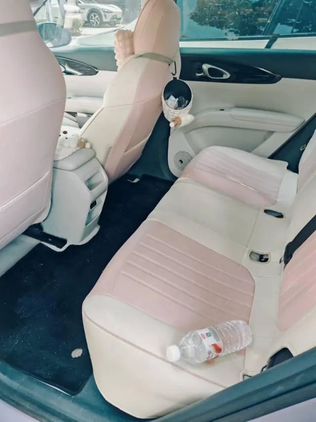 Geely 2024 Star Wish 310km Dream Edition Automatic Gear 5
