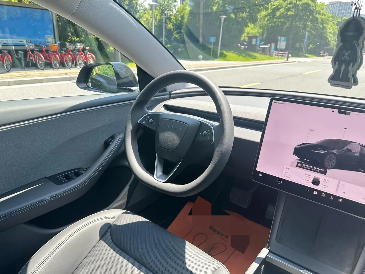 Tesla 2025 Model 3 Rear-Wheel-Drive Edition (facelift) Automatic Transmission 9