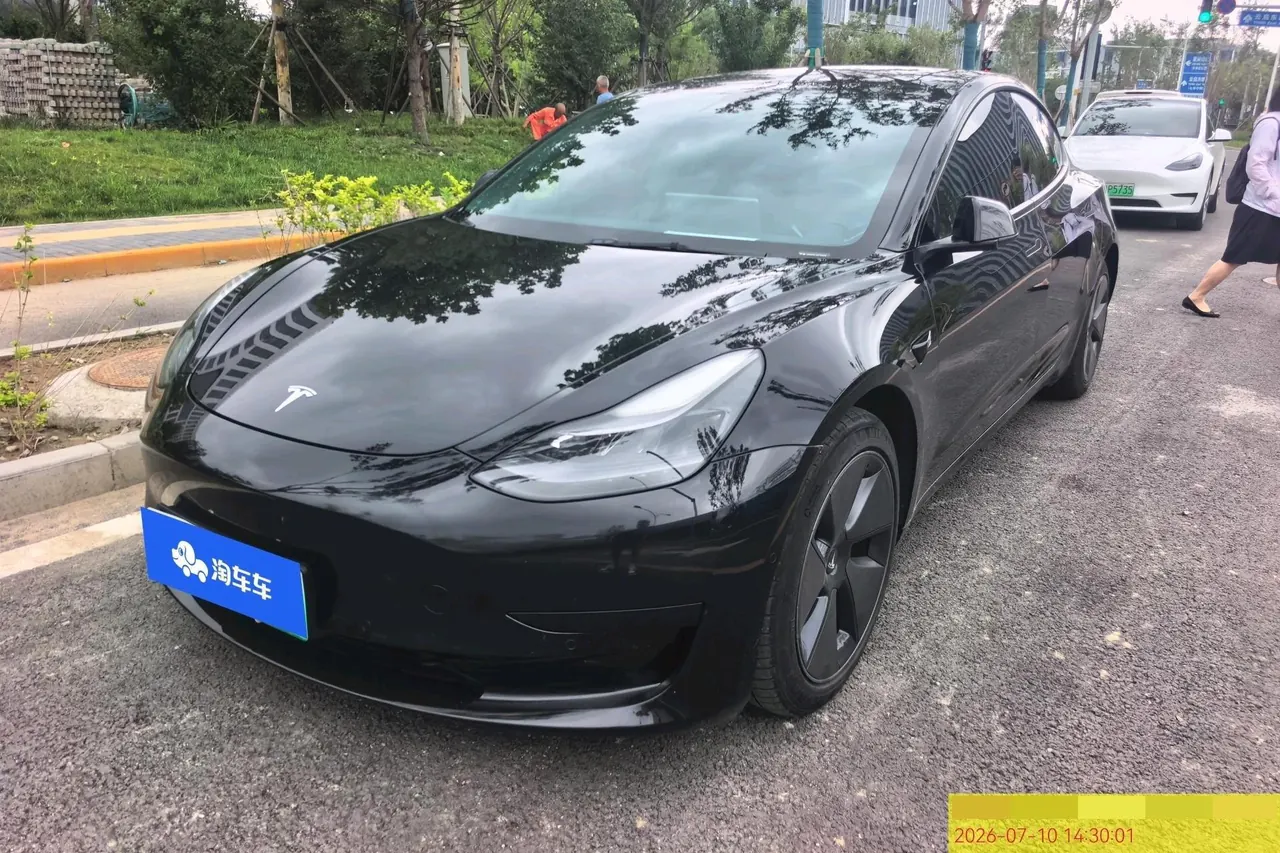 Tesla 2021 Model 3 Standard Endurance Rear Drive Upgraded Automatic Gear 2