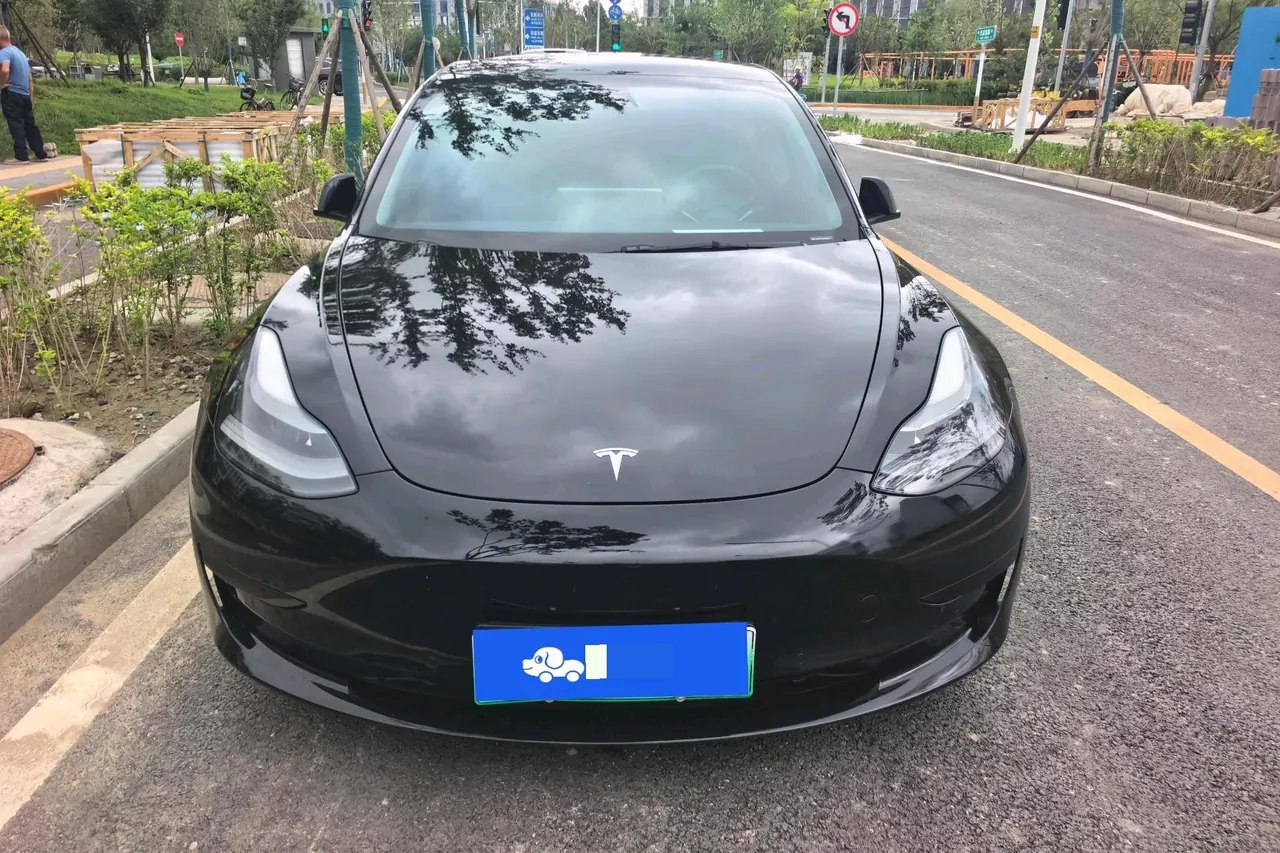 Tesla 2021 Model 3 Standard Endurance Rear Drive Upgraded Automatic Gear 3