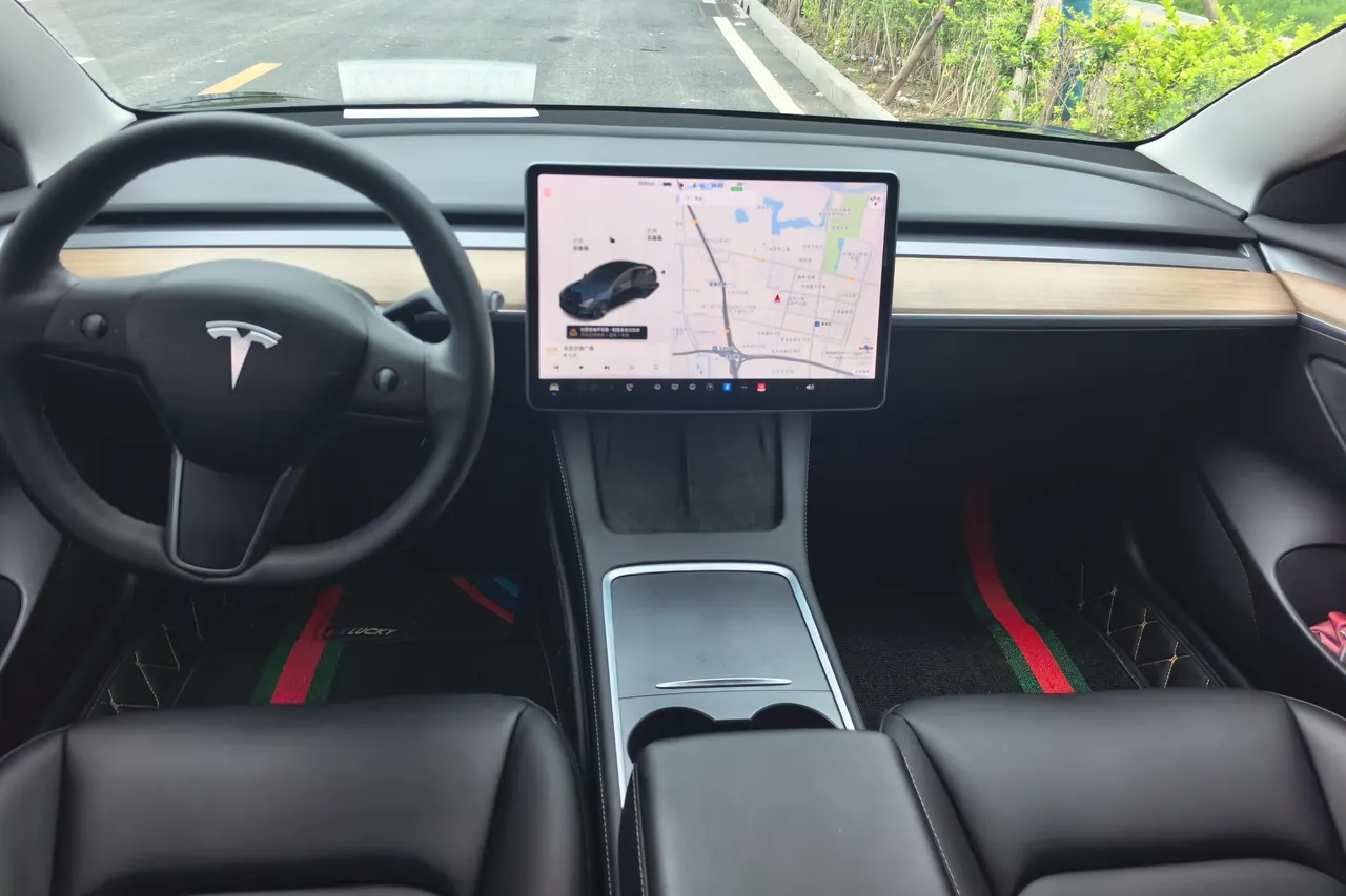 Tesla 2021 Model 3 Standard Endurance Rear Drive Upgraded Automatic Gear 5