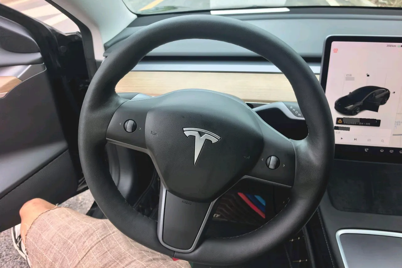 Tesla 2021 Model 3 Standard Endurance Rear Drive Upgraded Automatic Gear 6