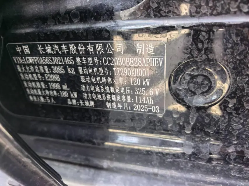 Tank 2025 model Tank 300 Hi4-T 2.0T Hi4-T automatic transmission 16