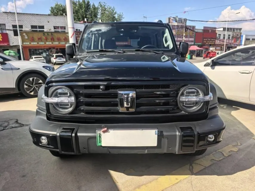 Tank 2025 model Tank 300 Hi4-T 2.0T Hi4-T automatic transmission 2