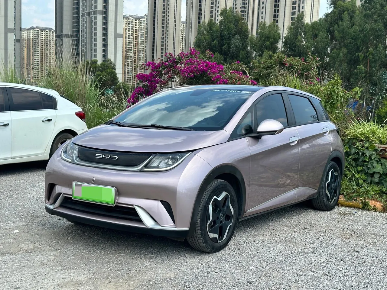 BYD 2021 Dolphin 405km Fashion Edition Automatic - View 1