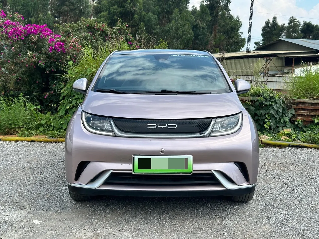 BYD 2021 Dolphin 405km Fashion Edition Automatic 2