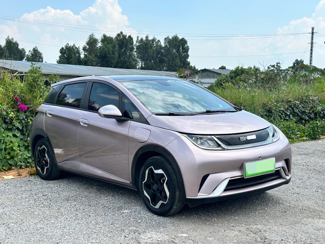 BYD 2021 Dolphin 405km Fashion Edition Automatic 3