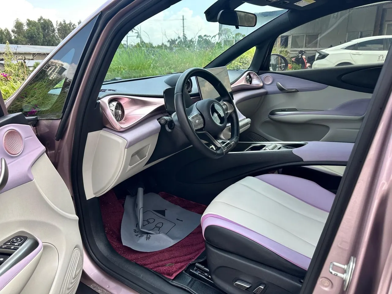 BYD 2021 Dolphin 405km Fashion Edition Automatic 4