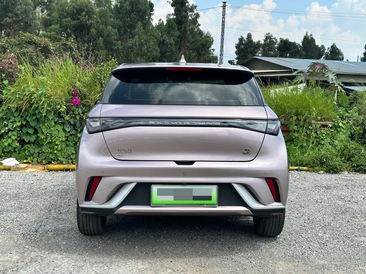 BYD 2021 Dolphin 405km Fashion Edition Automatic 8