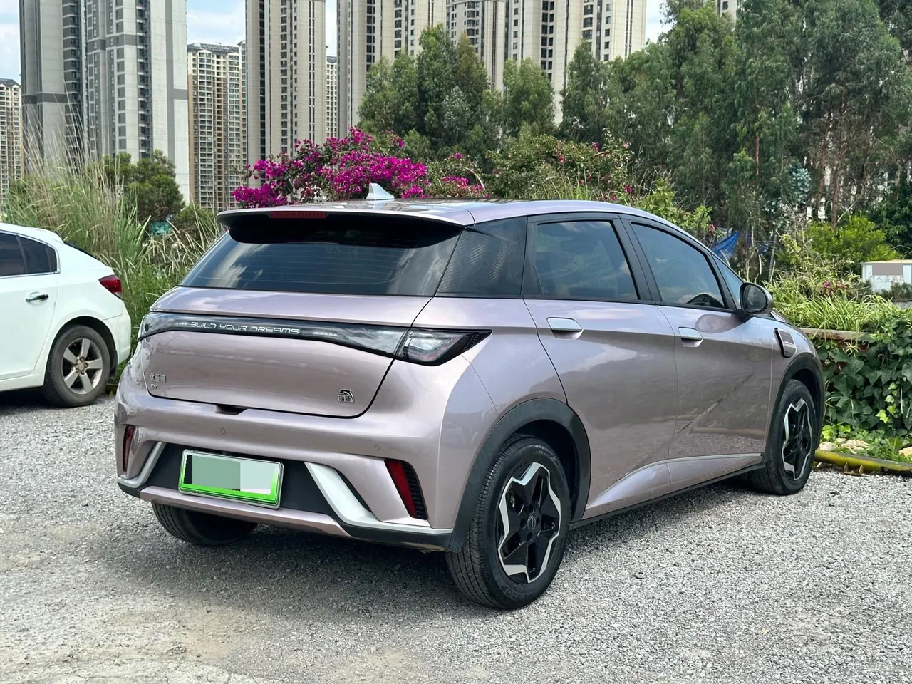 BYD 2021 Dolphin 405km Fashion Edition Automatic 9