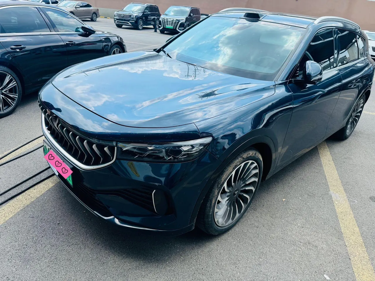 打开图片灯箱:Voyah 2021 FREE four-wheel drive extended range version luxury bag automatic gear