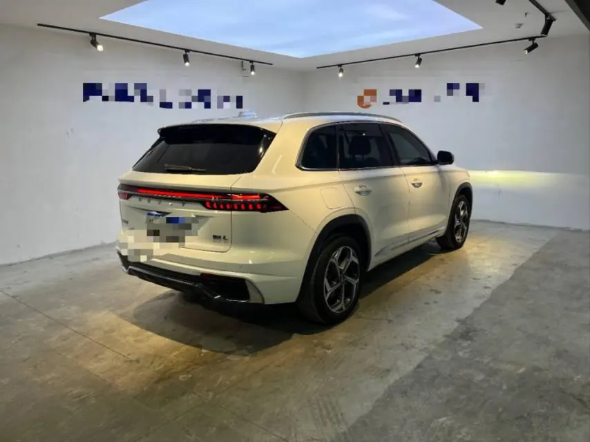 Geely 2021 XingyueL (Monjaro) 2.0TD EVO two-wheel drive distinguished automatic transmission 3