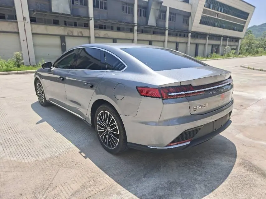 BYD 2021 Chinese Standard Endurance Edition Deluxe Automatic Transmission 7