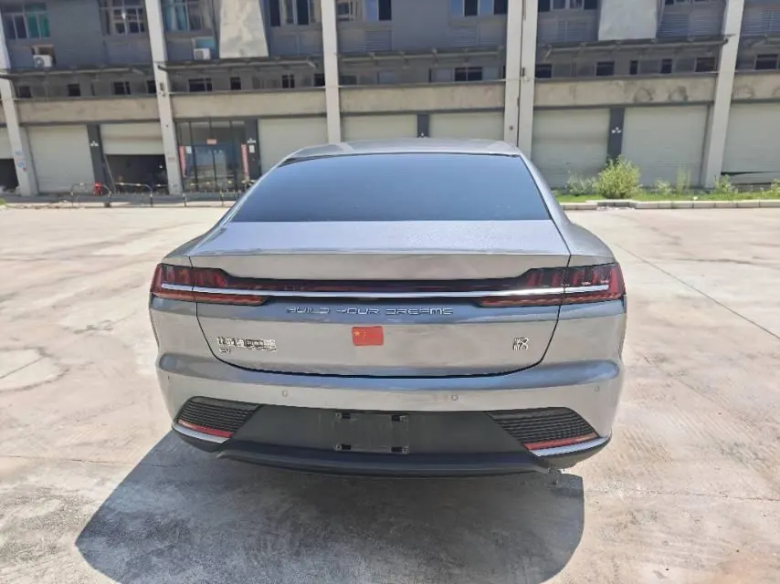 BYD 2021 Chinese Standard Endurance Edition Deluxe Automatic Transmission 8