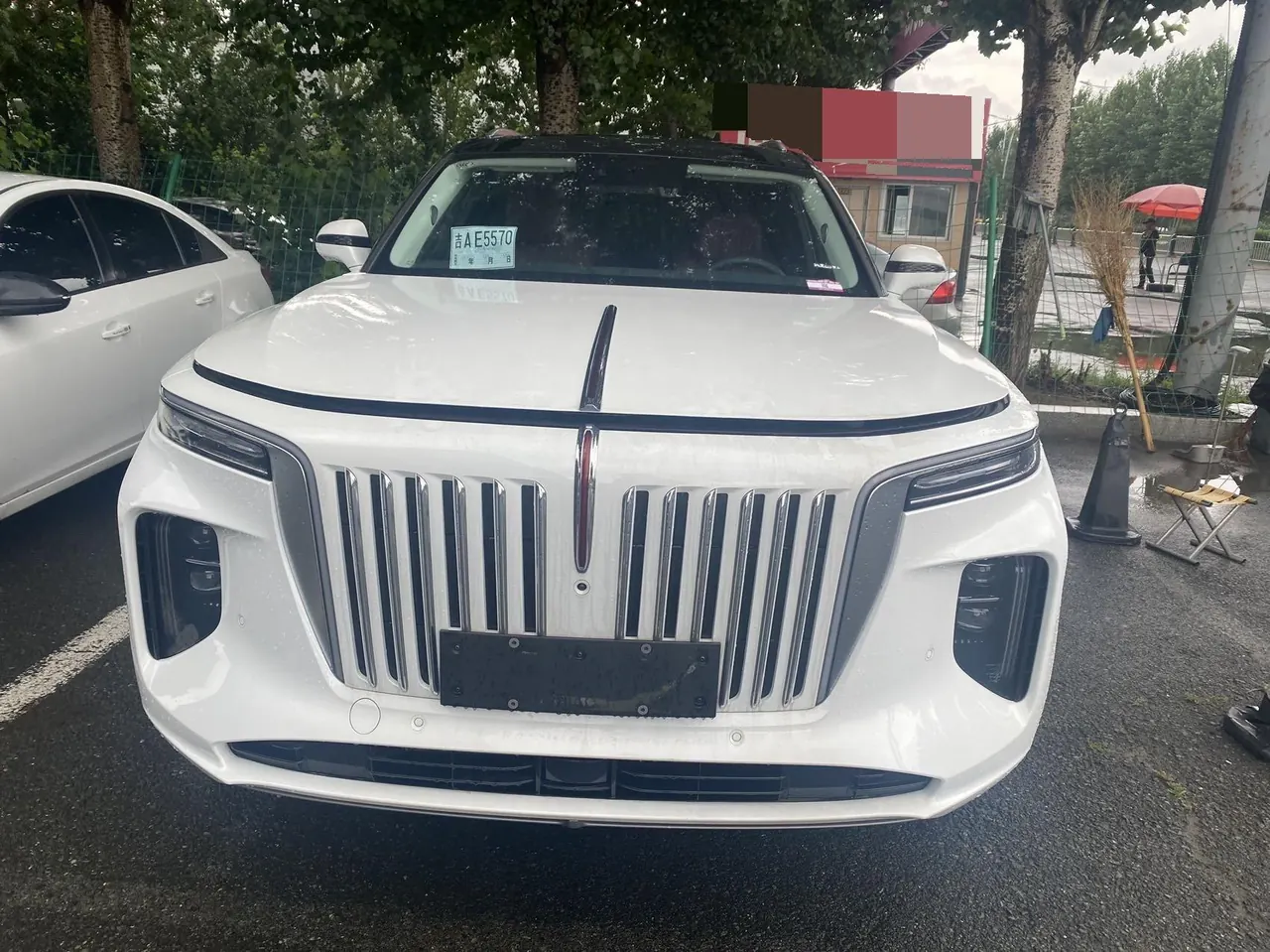 HongQi 2022 E-HS 9 690km Flag Edition 6-seat Automatic Gear 2