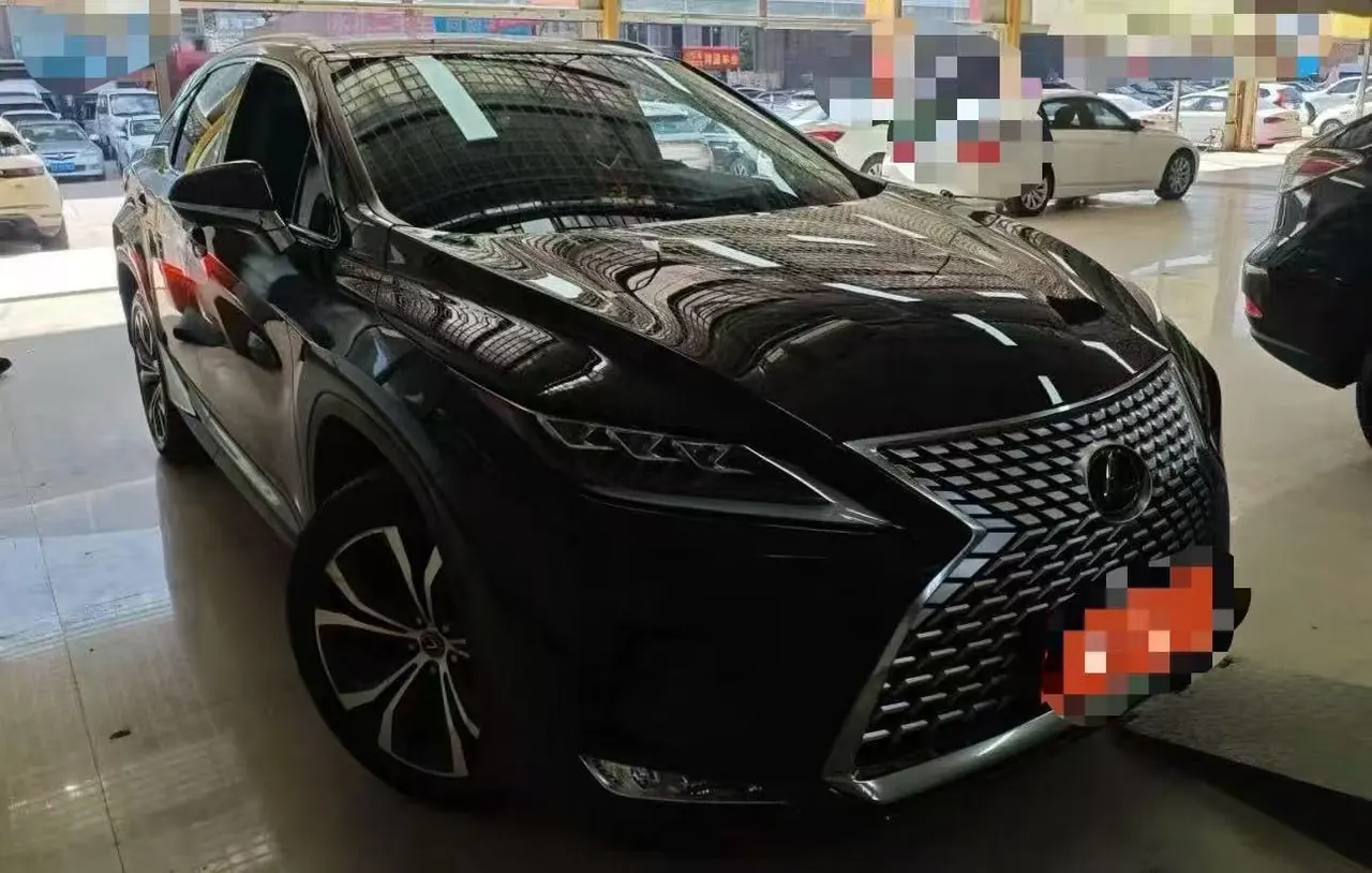 Lexus RX (Imported) 2021 RX300 2.0T Four-wheel Drive Special Edition Automatic Gear 2