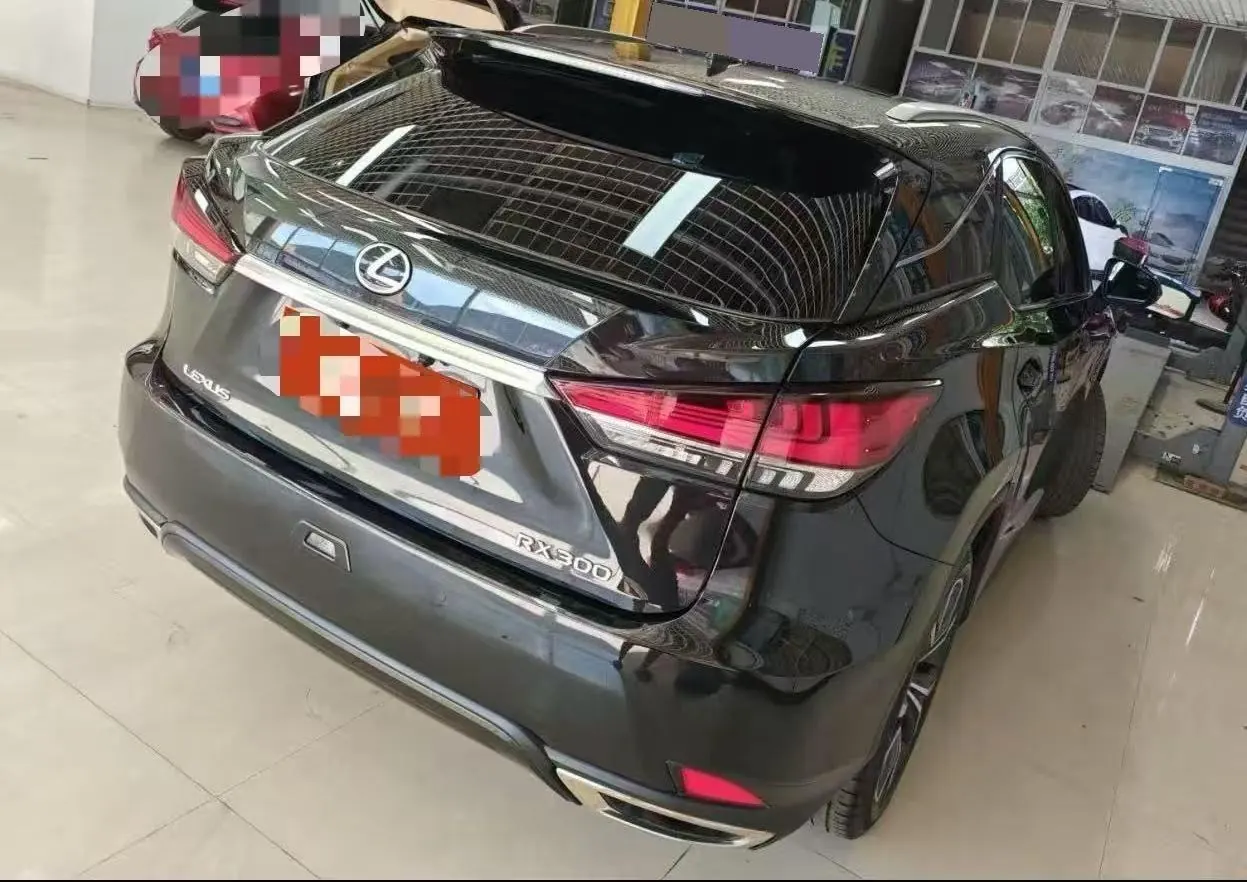 Lexus RX (Imported) 2021 RX300 2.0T Four-wheel Drive Special Edition Automatic Gear 5
