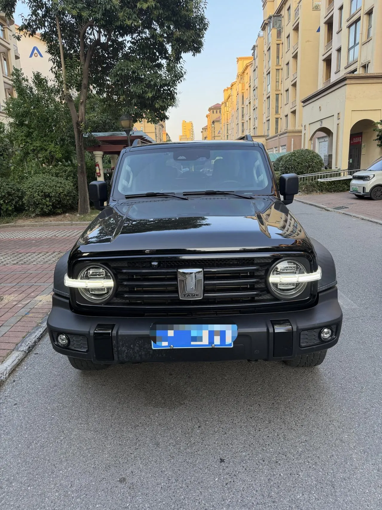 Tank 2021 Tank 300 2.0T Off-road Conqueror Automatic 5