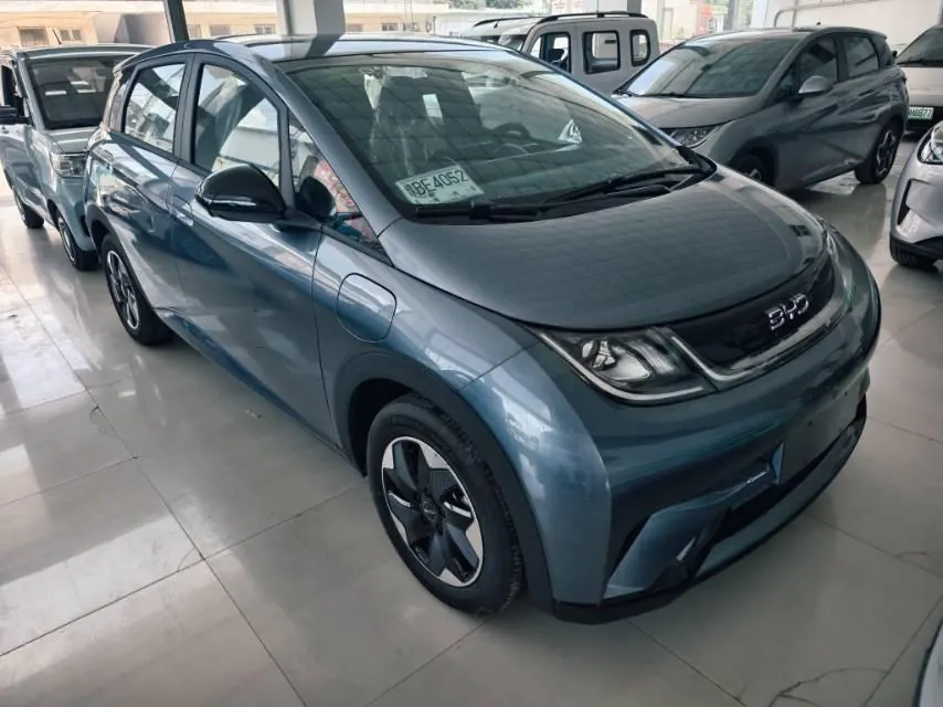 BYD 2025 Dolphins 420km Free Edition Automatic 2