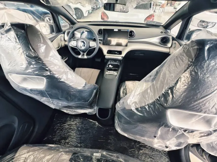BYD 2025 Dolphins 420km Free Edition Automatic 3