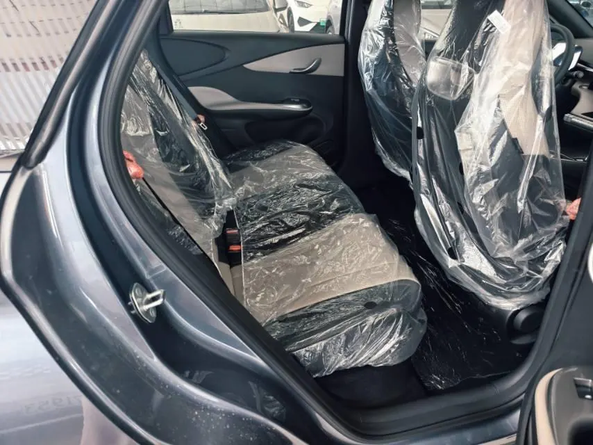 BYD 2025 Dolphins 420km Free Edition Automatic 6
