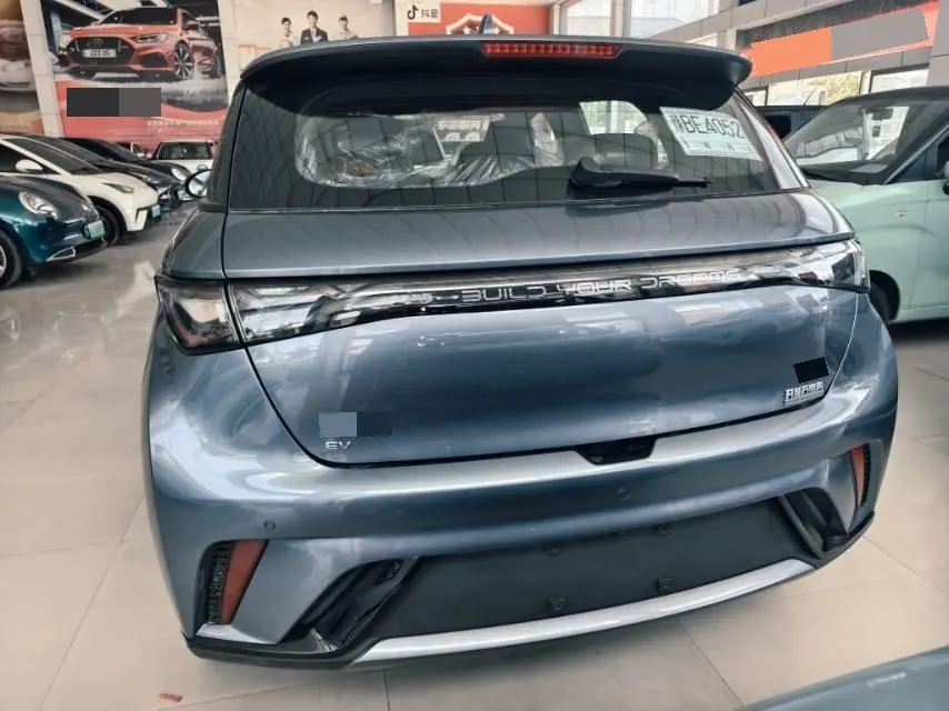 BYD 2025 Dolphins 420km Free Edition Automatic 8