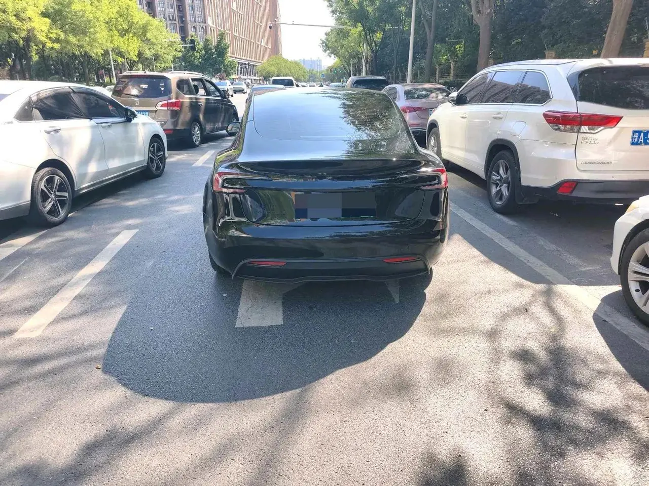 Tesla 2025 Model 3 Long Endurance All-Wheel Drive Edition (Changed) Automatic Gear 2