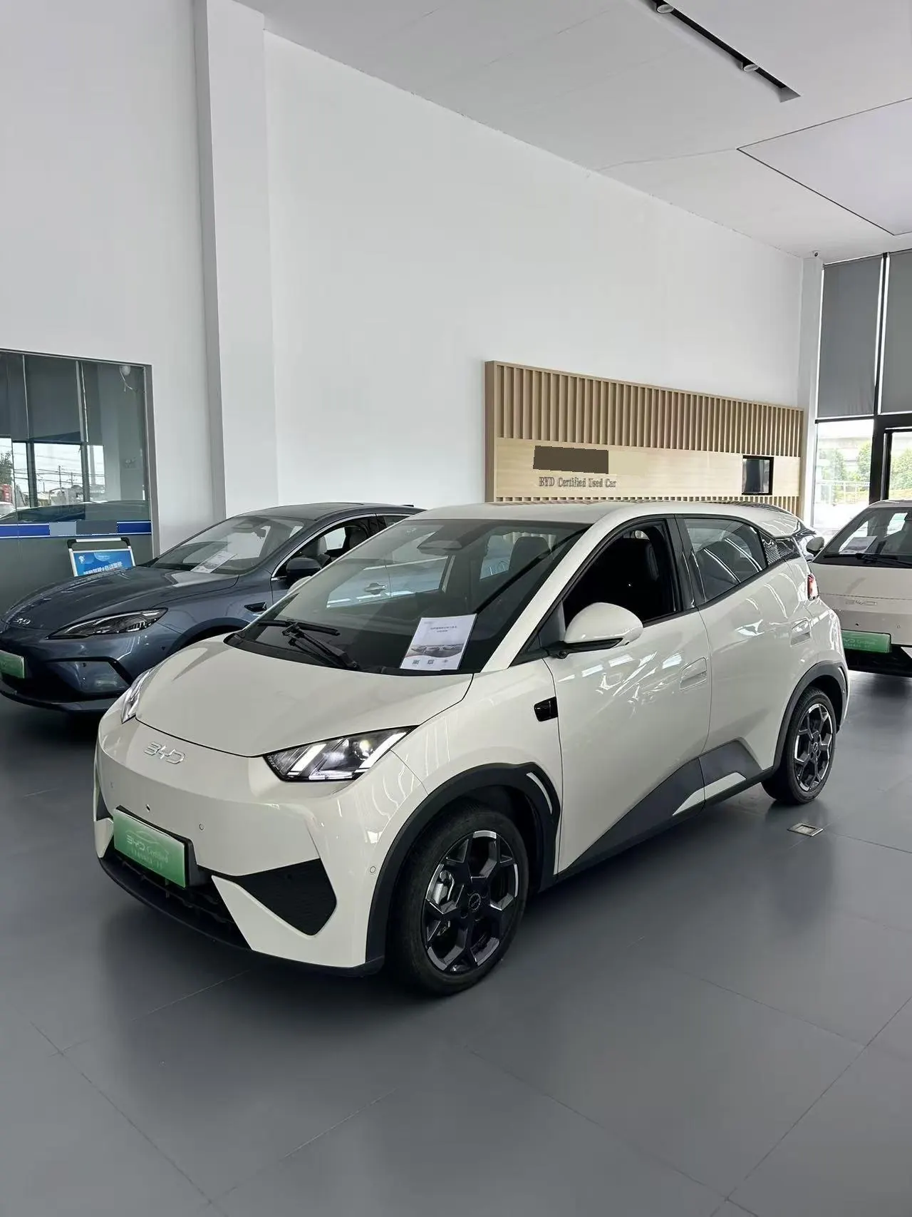 Open image lightbox: BYD 2025 Seagull Smart Driving Edition 305km Free Edition Automatic Gear