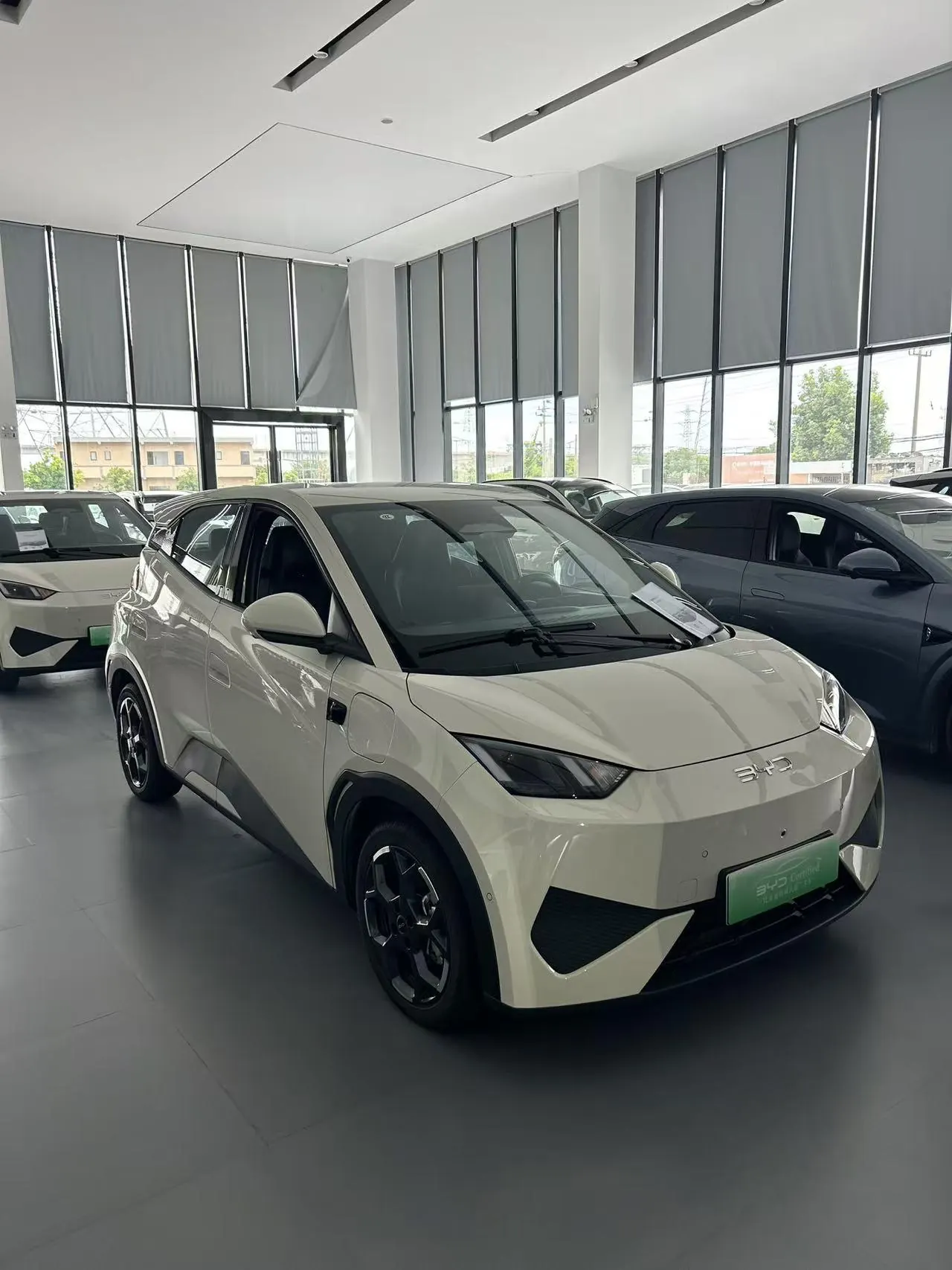 BYD 2025 Seagull Smart Driving Edition 305km Free Edition Automatic Gear 2