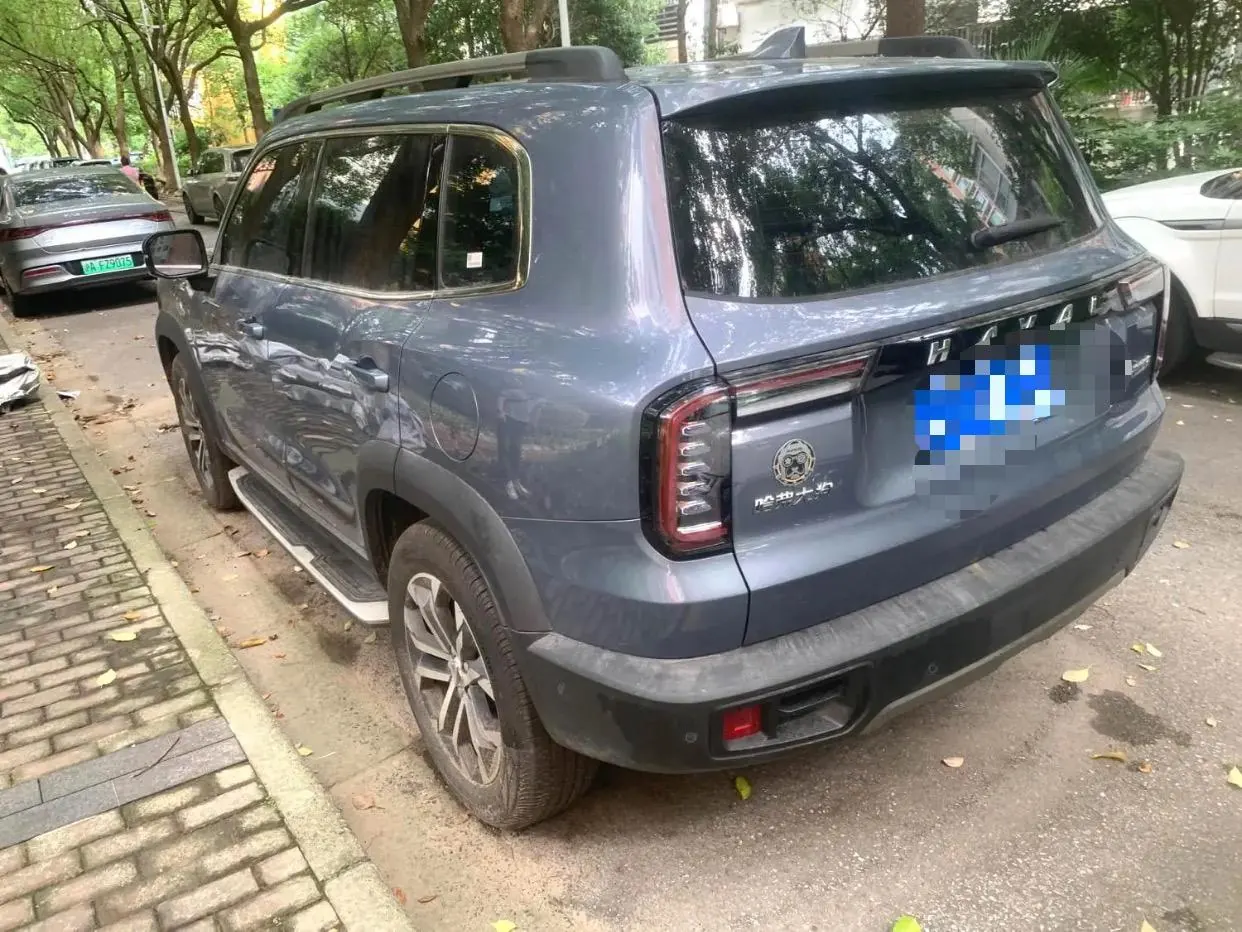 Haval 2022 big dog 1.5T two-wheel drive horse dog version automatic gear 10